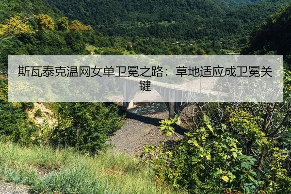 si-wa-tai-ke-wen-wang-nv-dan-wei-mian-zhi-lu-cao-di-shi-ying-cheng-wei-mian-guan-jian-2-248.jpg