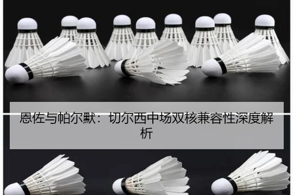 en-zuo-yu-pa-er-mo-qie-er-xi-zhong-chang-shuang-he-jian-rong-xing-shen-du-jie-xi-2-501.jpg